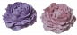 Preview: Rose aus Gips in Flieder oder Rosa,  8 x 3 cm - 1