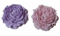 Preview: Rose aus Gips in Flieder oder Rosa,  8 x 3 cm - 3