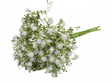 Blumendeko Gloriosazweig - Ruhmeskrone 1