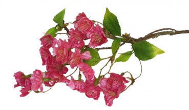 Kirschblütenzweig in der Farbe rosa, Osterdeko - 1