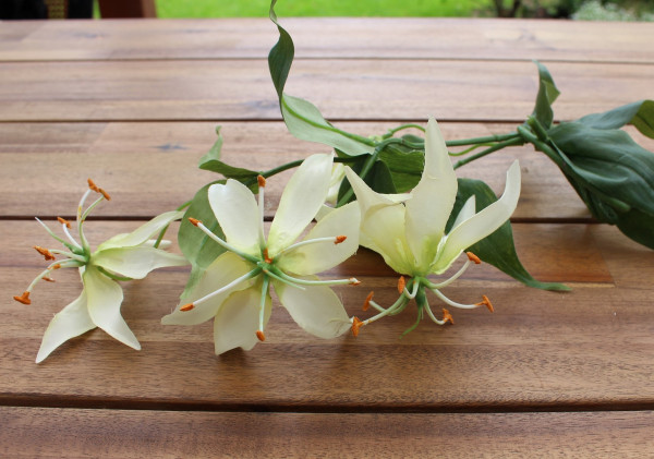 Blumendeko Gloriosazweig - Ruhmeskrone 3